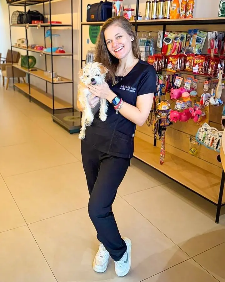 Equipe no pet shop