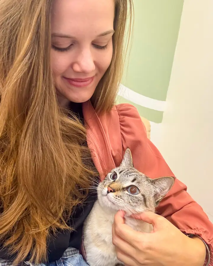 Gatinho no colo da veterinária